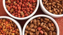 Rodzaje suchej żywności