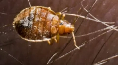 Szkoda i niebezpieczeństwa emanujące z błędów