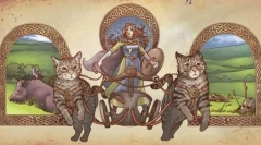 Wszystko o europejskim kotu shorthair