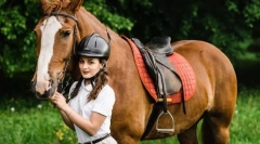 Wybór stajni, trenera i koni