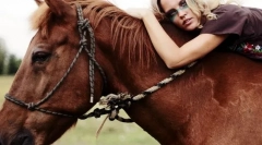 Ludzka interakcja i koń