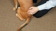 Choroby kręgosłupa