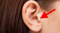 Dlaczego koty kieszeń na uszach