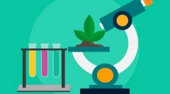 Zadania i metody biologii