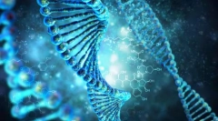 Prawa dziedziczności