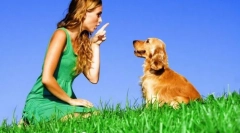 Zespół zabraniający