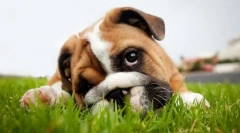 Choroby żołądkowo-jelitowe