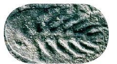 Zwierzęta w okresie jodniowym