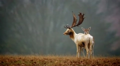 Wartość organizmów żywych w przyrodzie