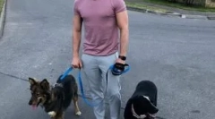 Gwiazdy pokazują biznes, który pomaga bezdomnych zwierzętom